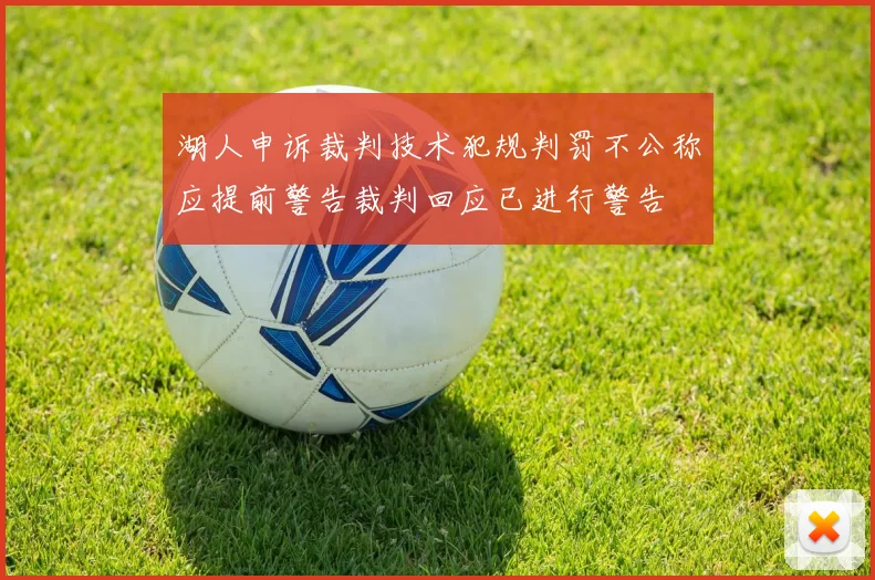 湖人申诉裁判技术犯规判罚不公称应提前警告裁判回应已进行警告